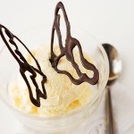 Cara Cara Orange Ice Cream