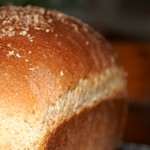 Honey Wheat Bread