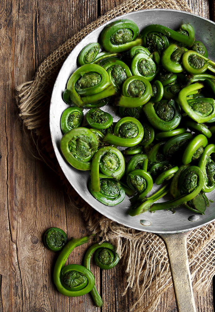 Fiddleheads