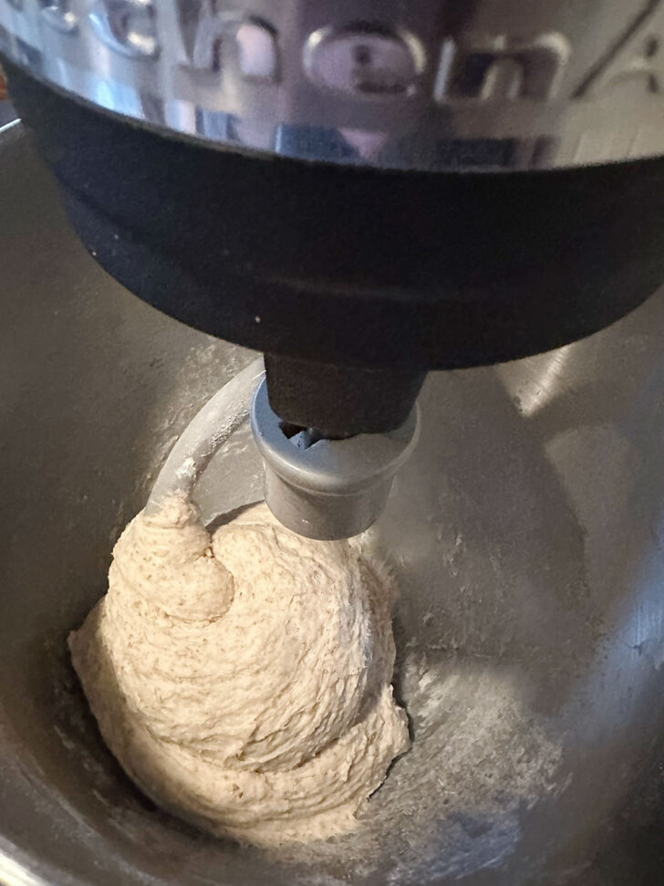 finished bread dough in mixer