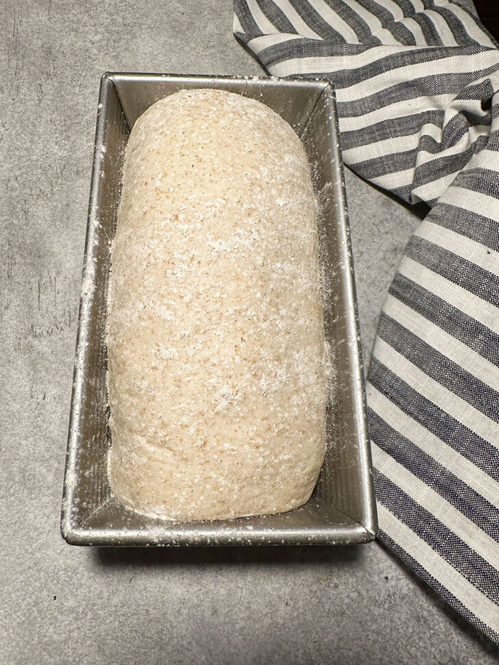 risen dough in loaf pan