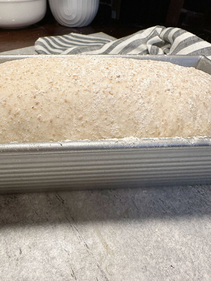 risen dough ready for the oven