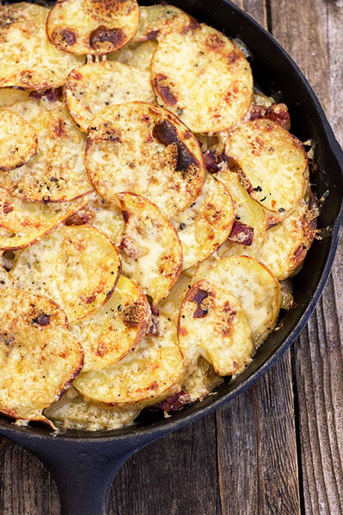 pan haggerty potatoes in cast iron skillet