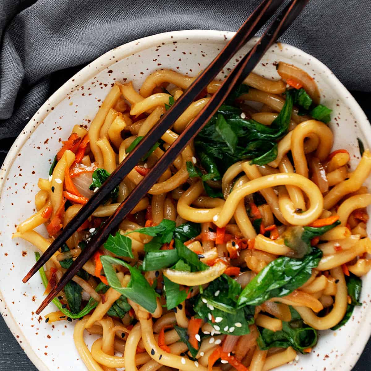 15 Minute Spicy Udon Stir Fry - Seasons and Suppers