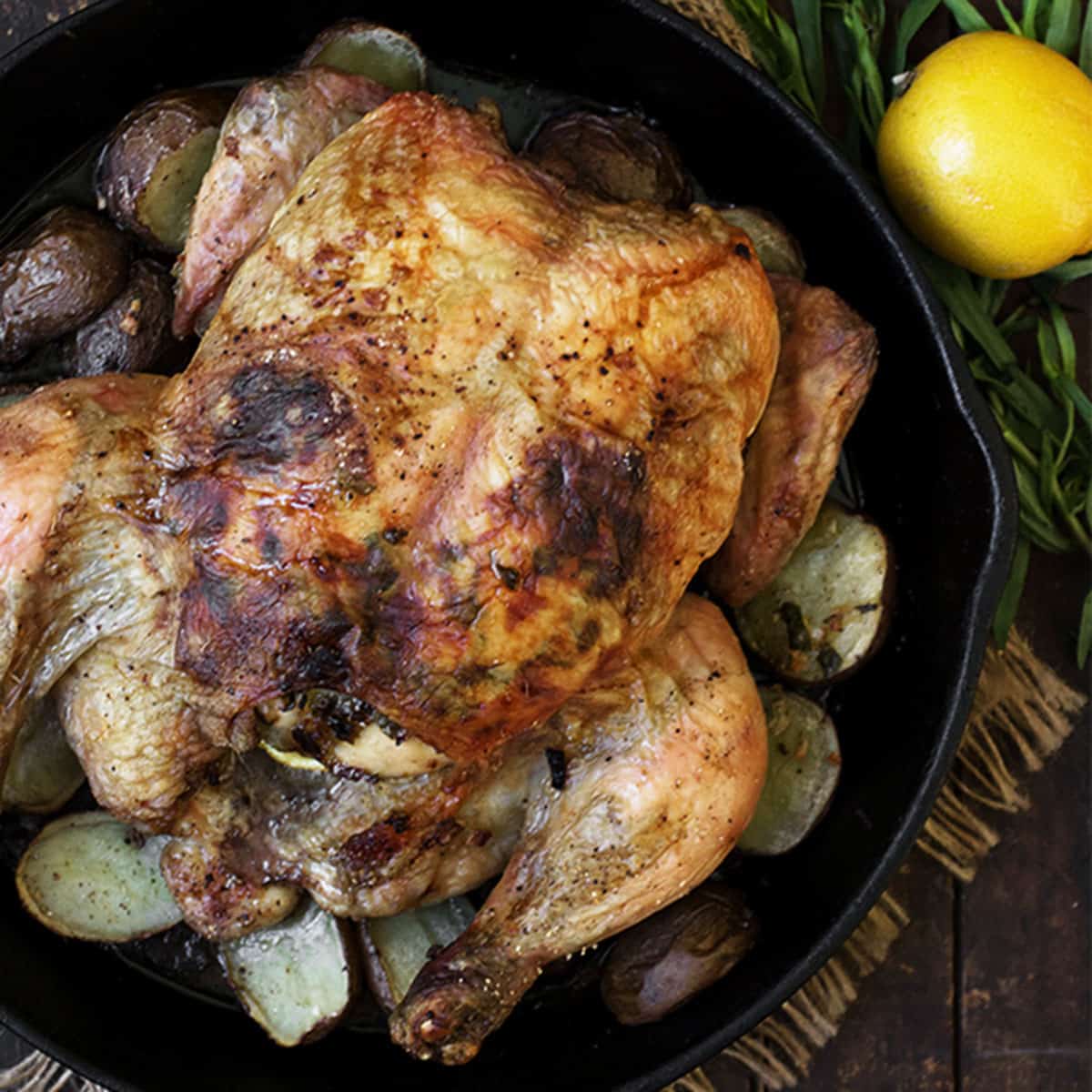 tarragon lemon roasted whole chicken in skillet