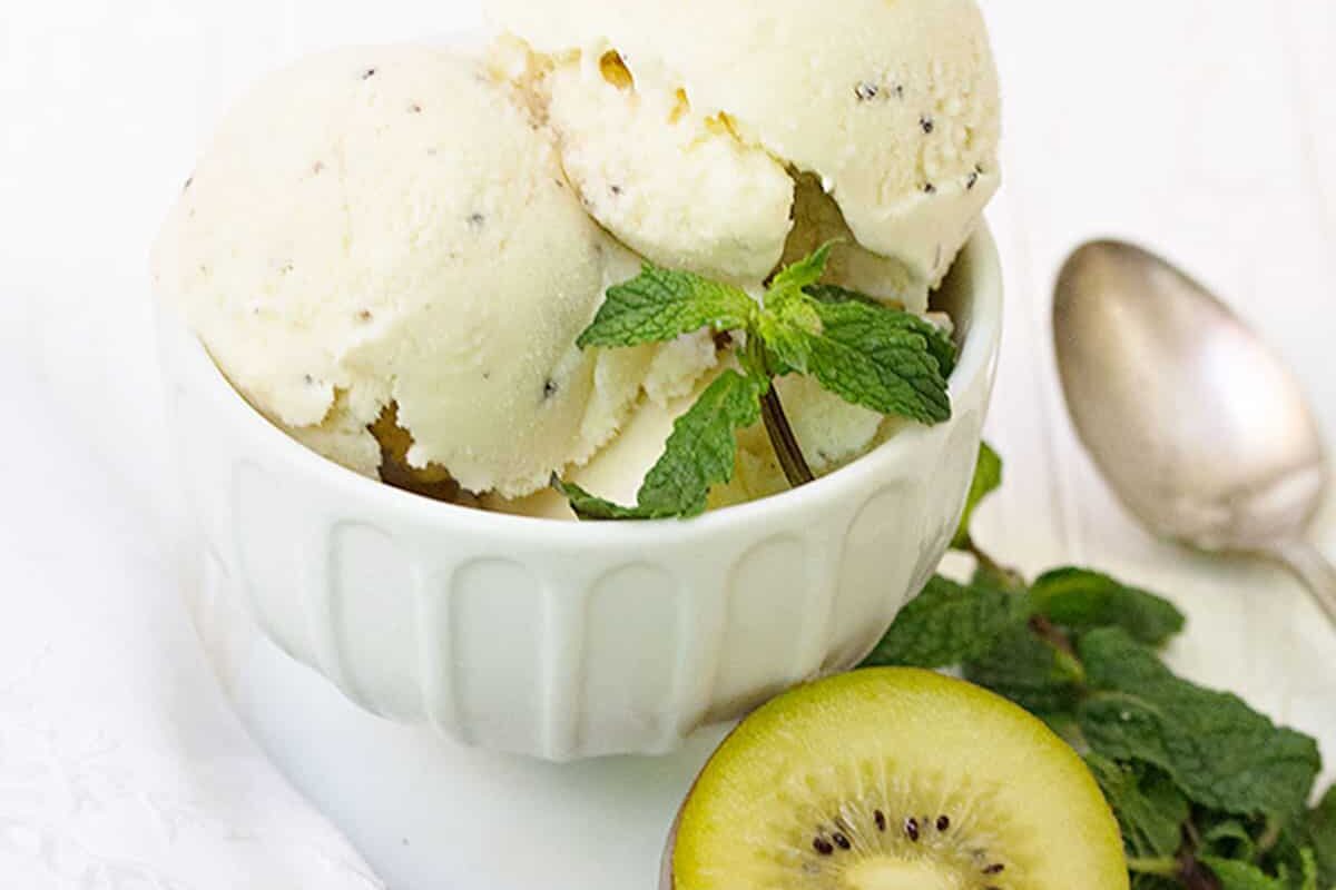 Kiwi Ice Cream Seasons and Suppers