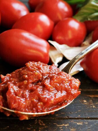 homemade marinara sauce on spoon with tomatoes, basil and garlic