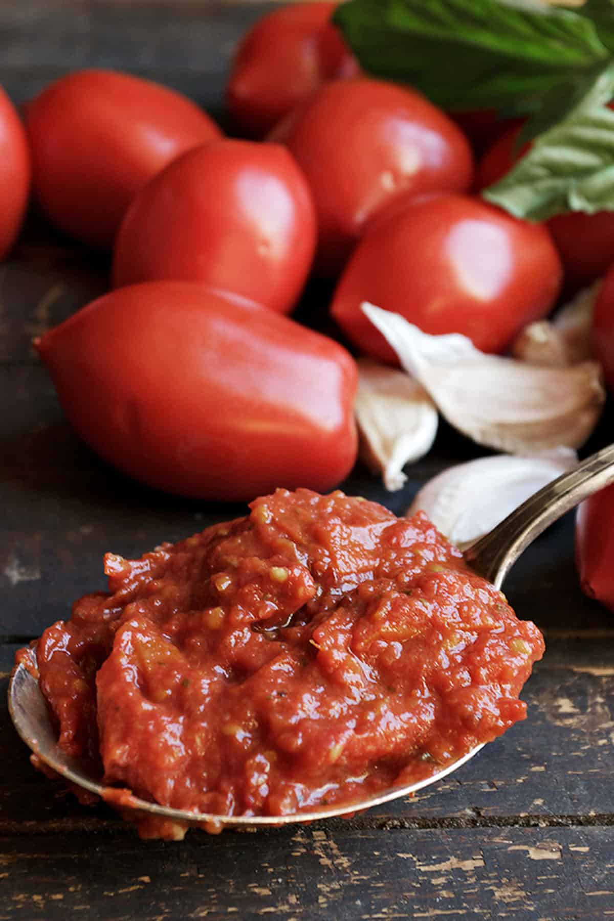 homemade marinara sauce on spoon with tomatoes, basil and garlic