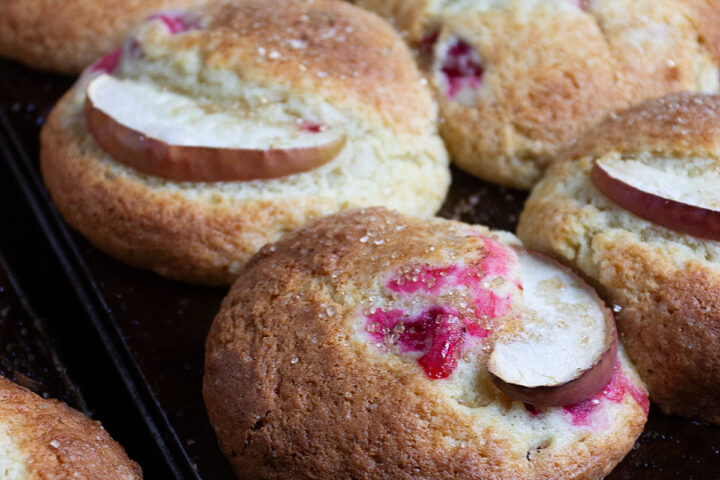 cranberry muffins in muffin tins