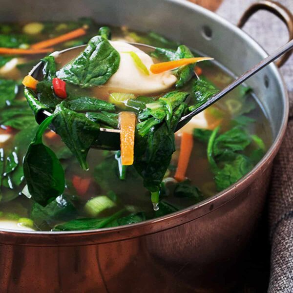 pork dumpling soup in soup pot