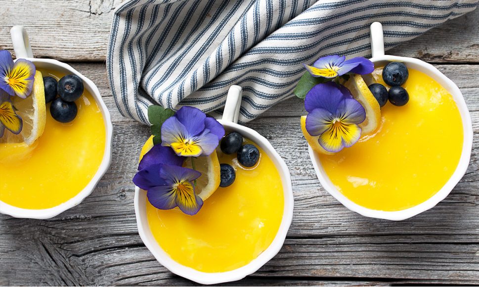 Teacup NoBake Cheesecake Seasons and Suppers