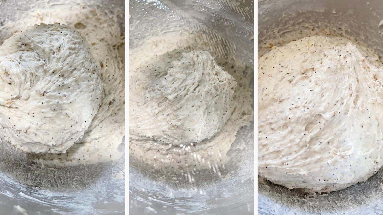 Dough after mixing and resting in the mixer bowl.