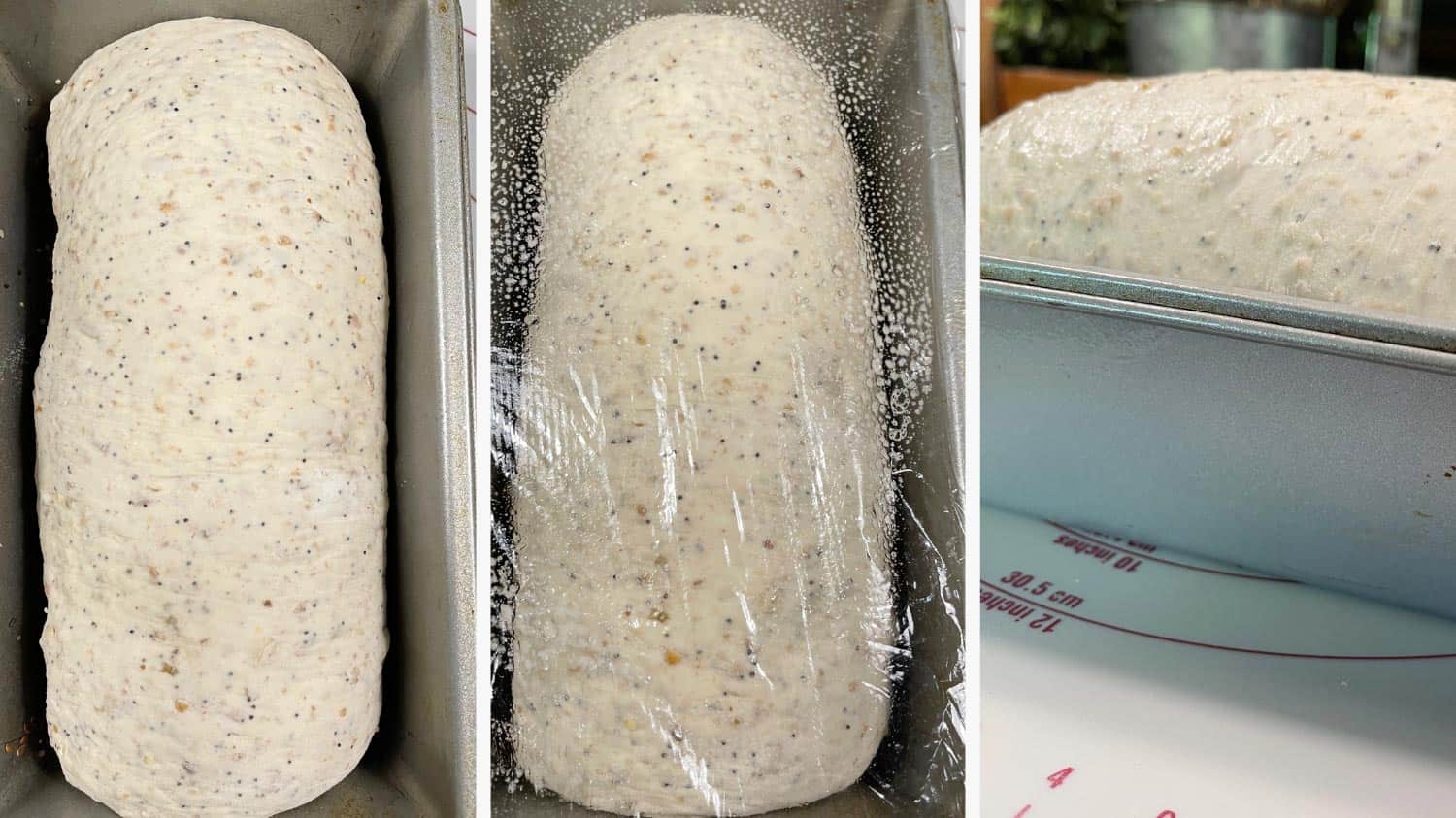 Formed loaf in loaf pan before and after rising.