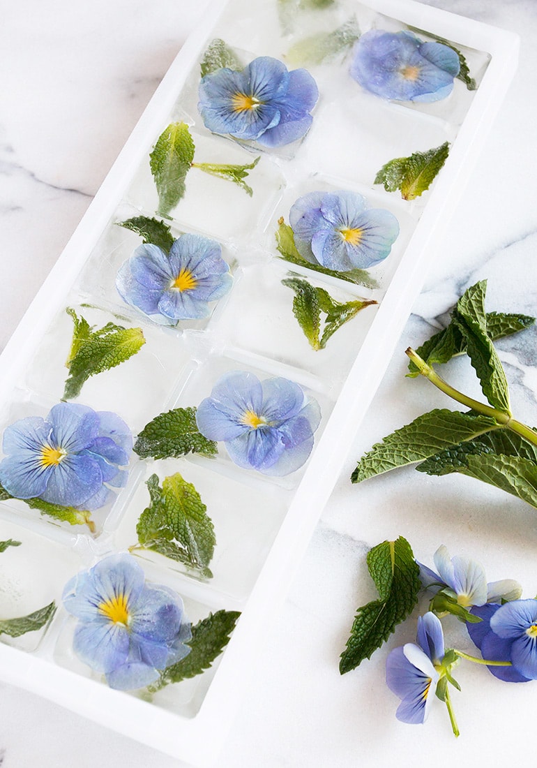 Pansy and Mint Ice Cubes