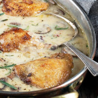 French chicken with creamy sauce in pan with spoon