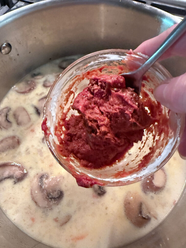 Adding the tomato paste mixture to the soup pot.