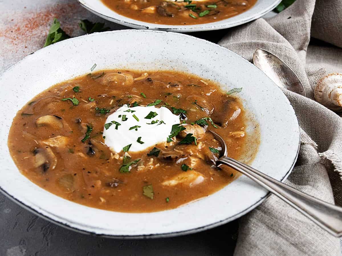 hungarian mushroom soup with chicken in bowls