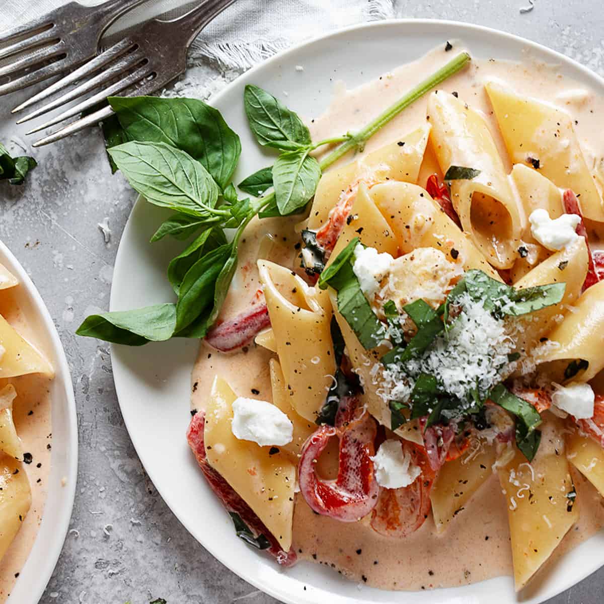 Creamy Cherry Tomato and Pepper Pasta