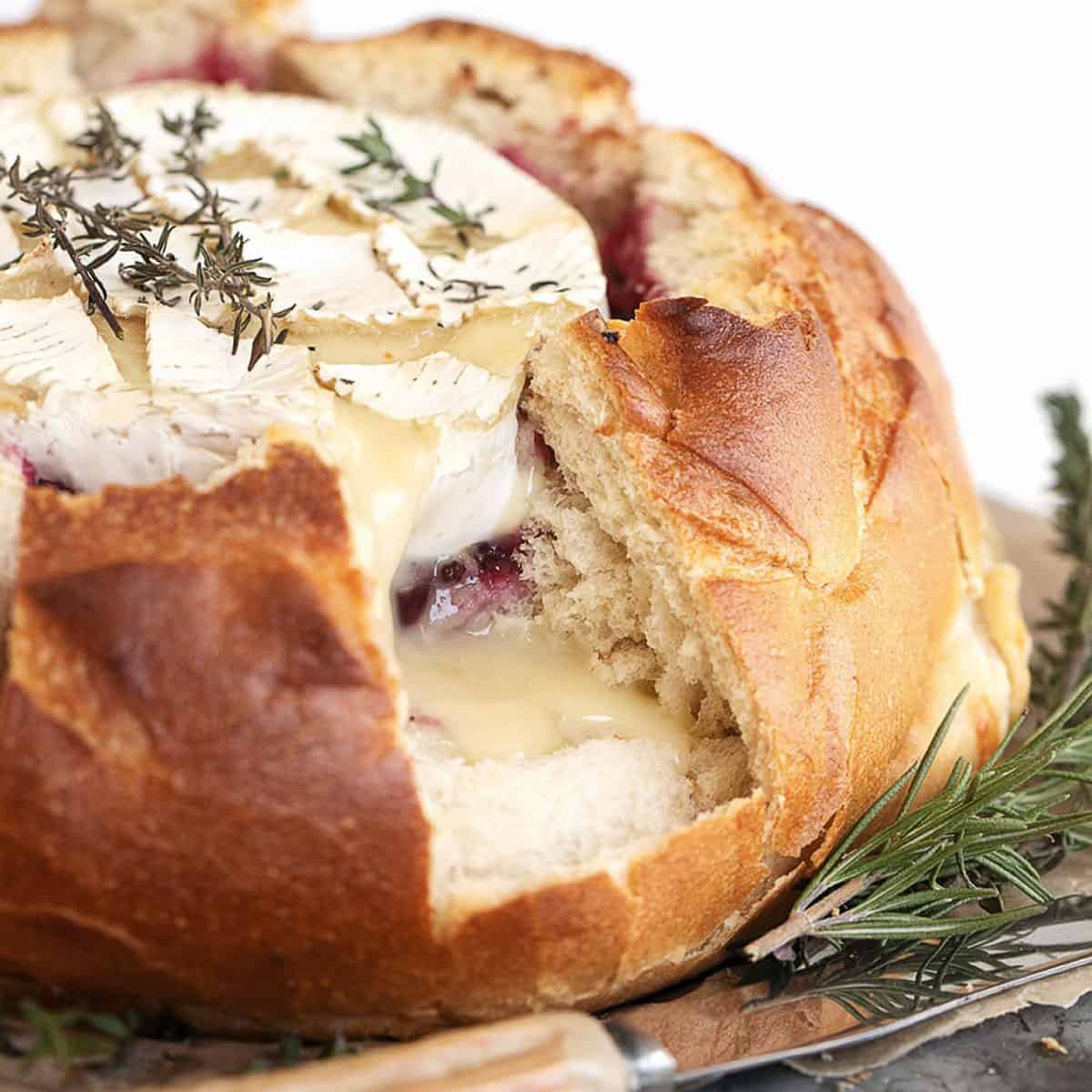 Cranberry Camembert Bread Bowl - Seasons and Suppers