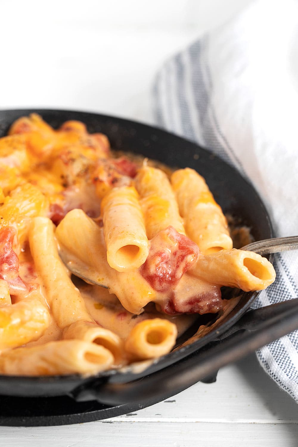 pasta with cheese sauce and tomatoes