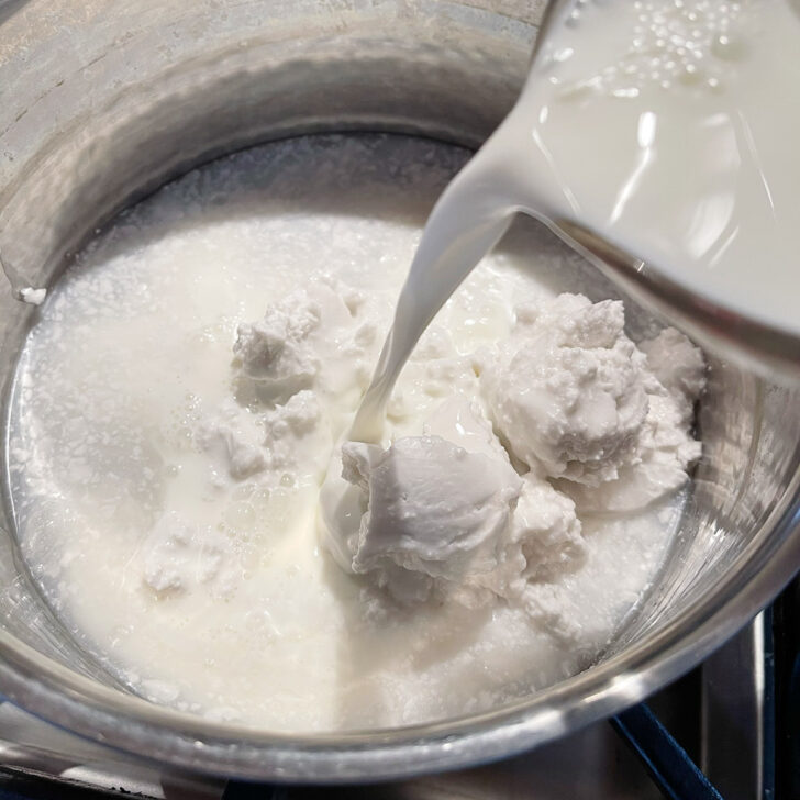 Adding the coconut milk and milk to the saucepan.