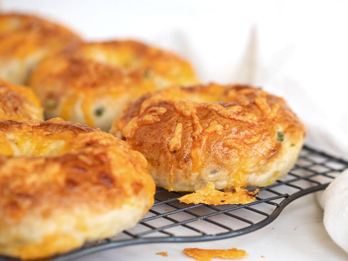 cheddar jalapeno bagels on cooling rack