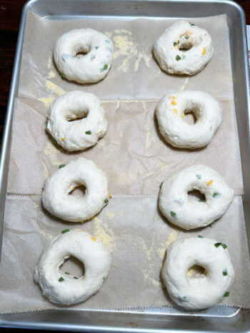 dough shaped into bagels and placed on baking sheet
