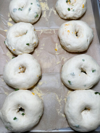bagels after the 2nd rise