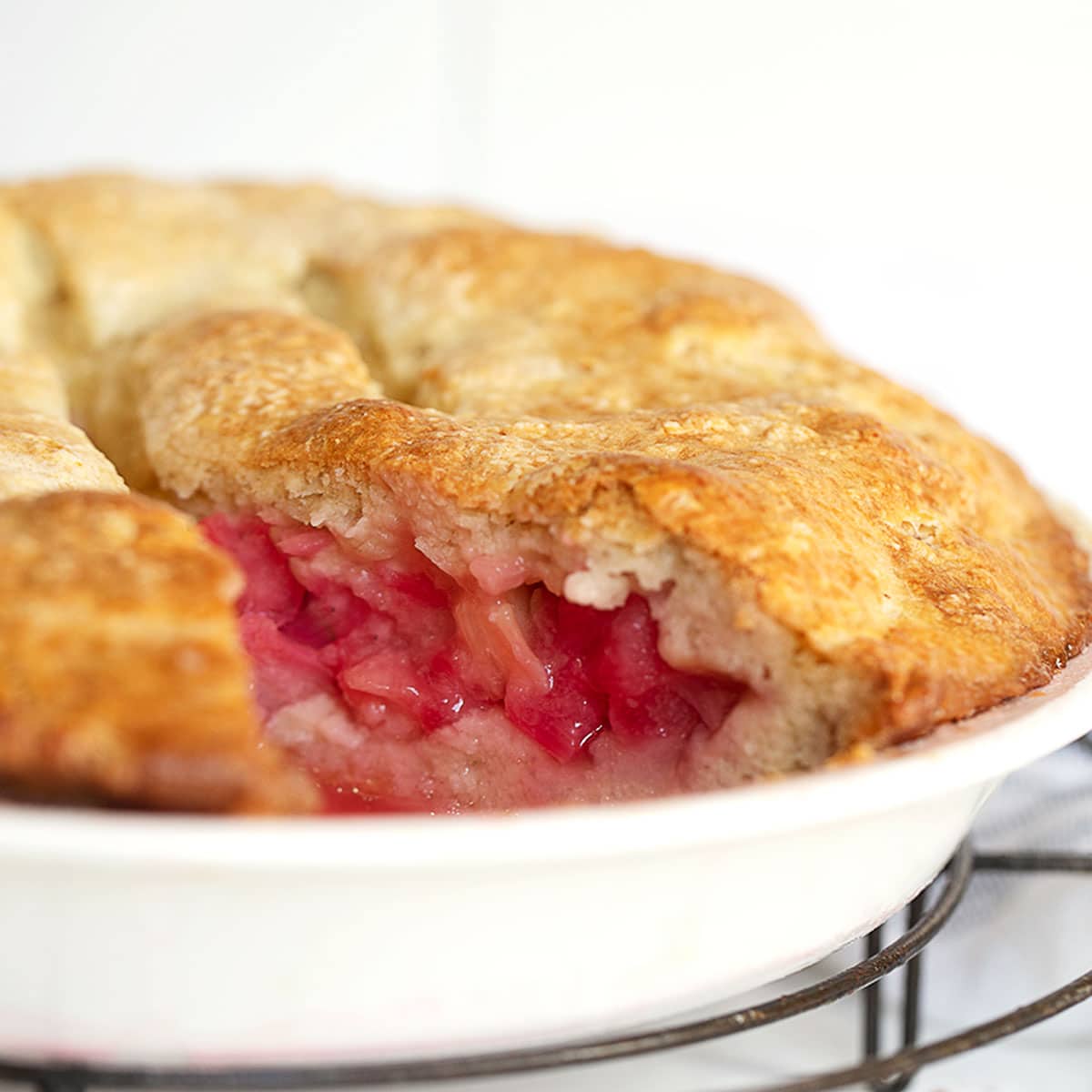 rustic rhubarb cake in pan with slice out
