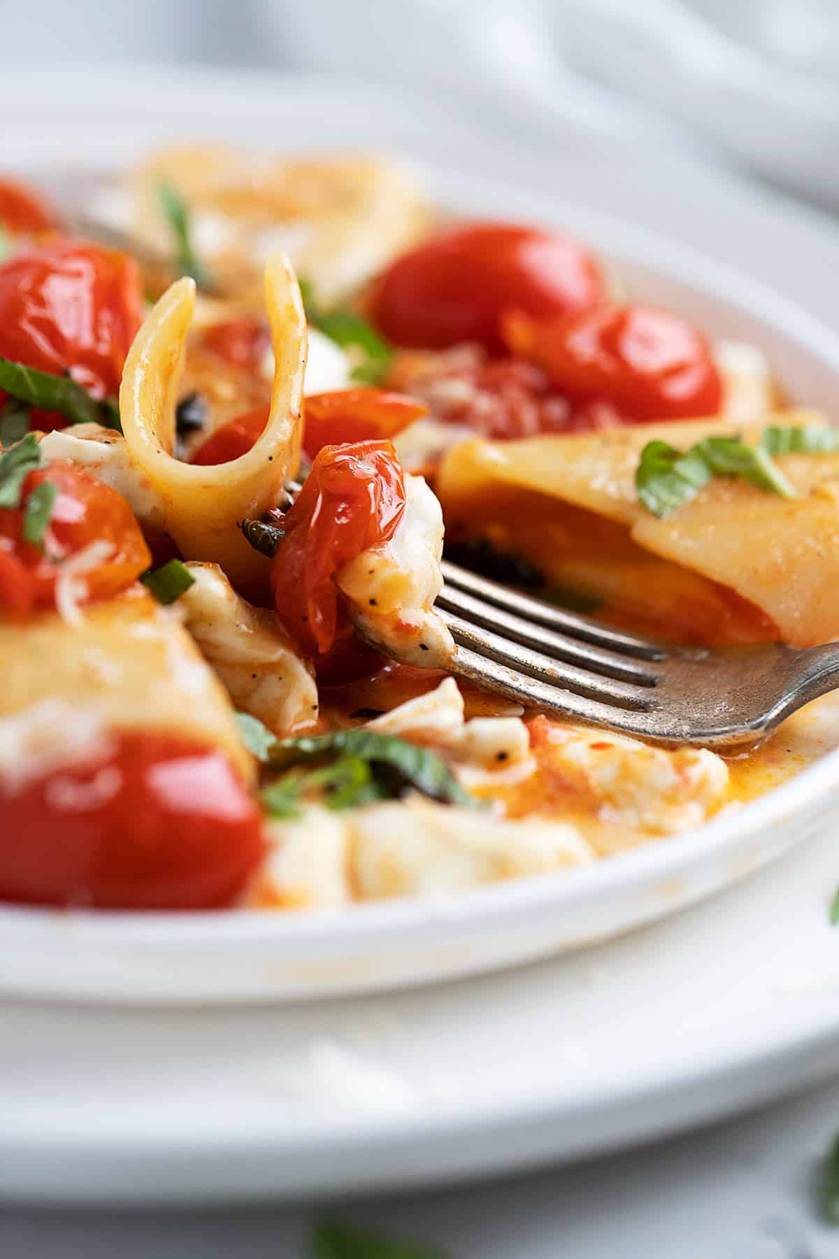 pasta alla sorrentina on plate with fork