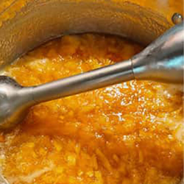 Using an immersion blender to break up the fruit.