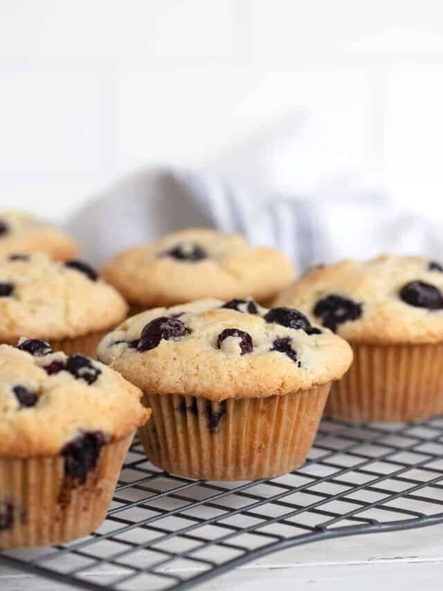 Buttermilk Blueberry Muffins Seasons and Suppers
