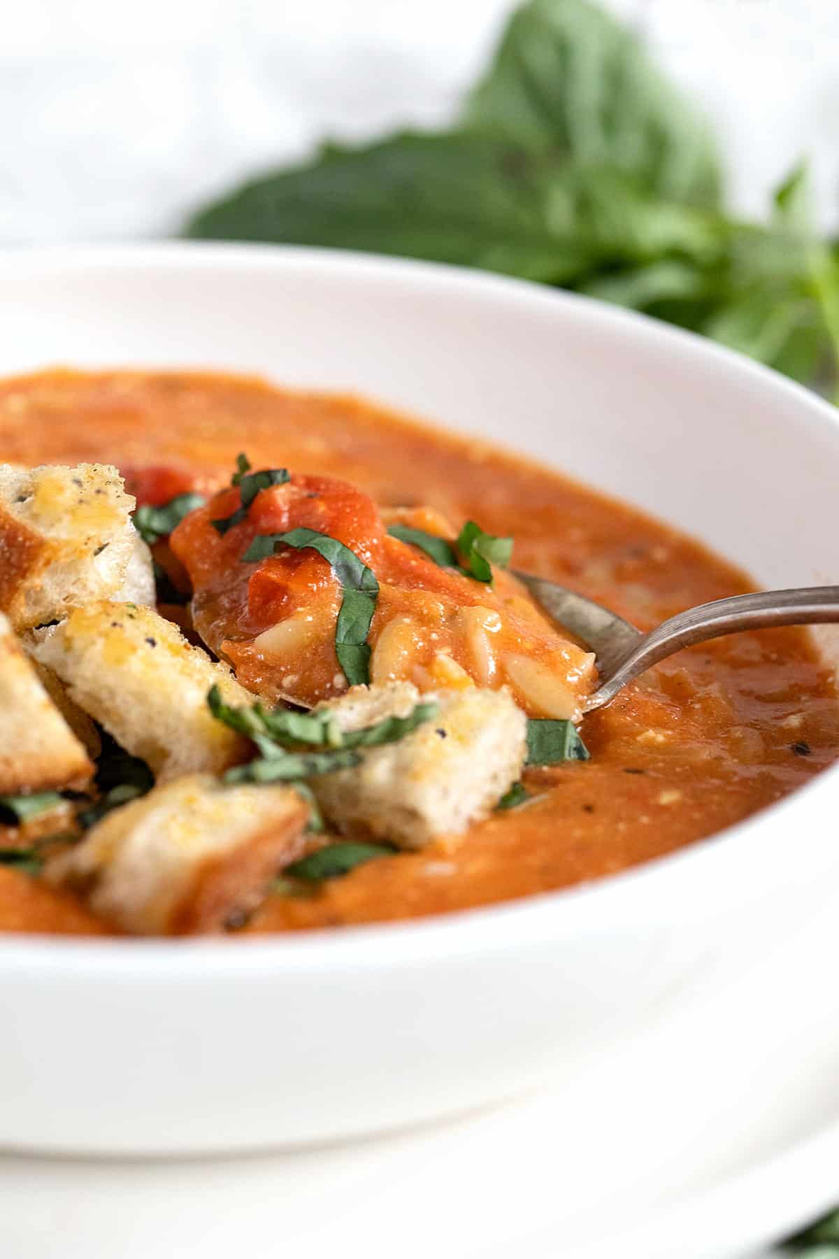 feta tomato orzo soup in white bowl with croutons