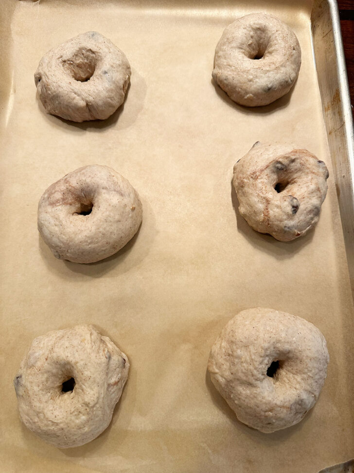 Dough formed into bagels on baking sheet.