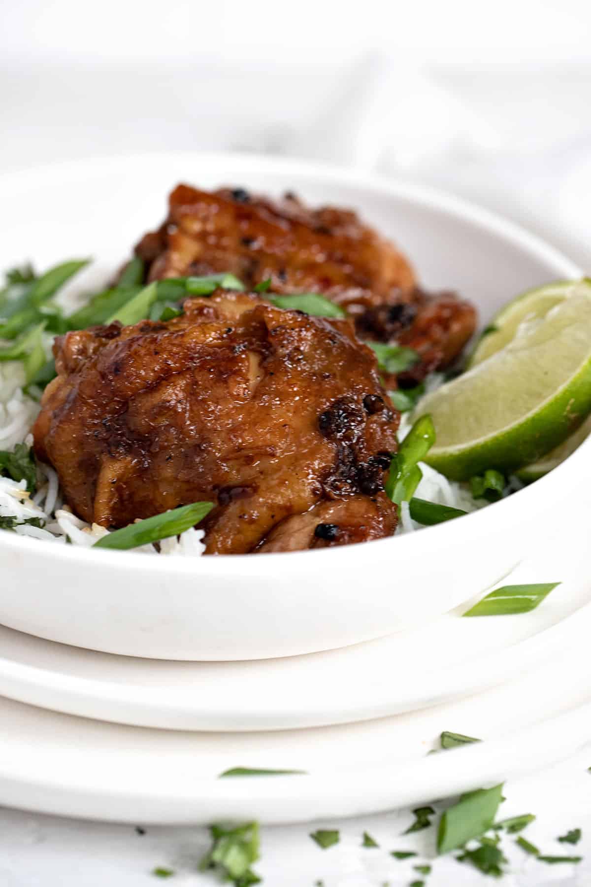 chicken adobo in bowl with rice