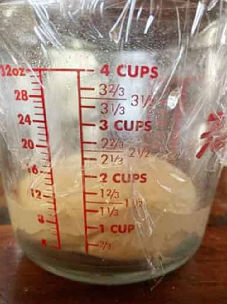 Stromboli dough set to rise in a measuring cup.