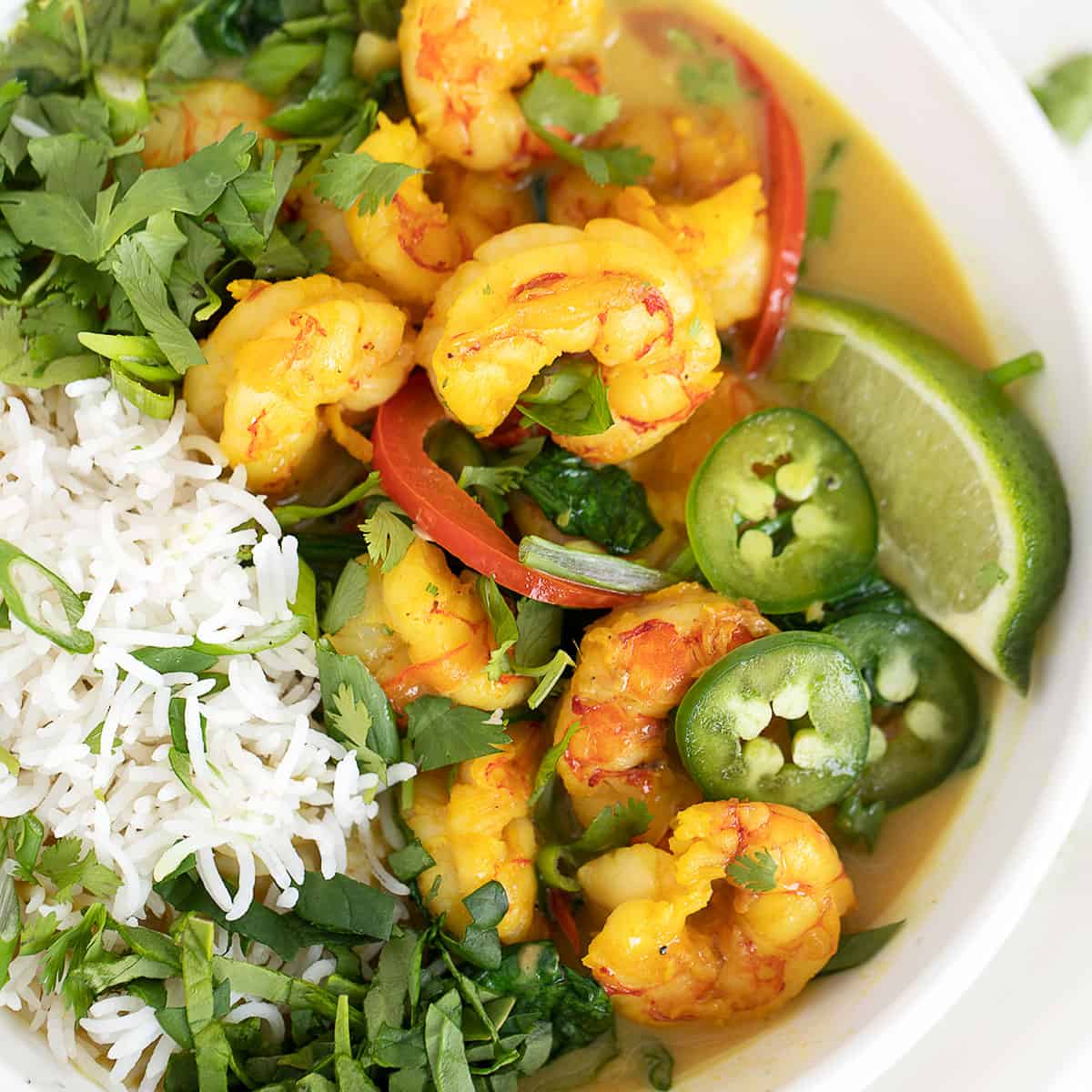 Use coconut milk and rice in a white bowl with shrimp and rice
