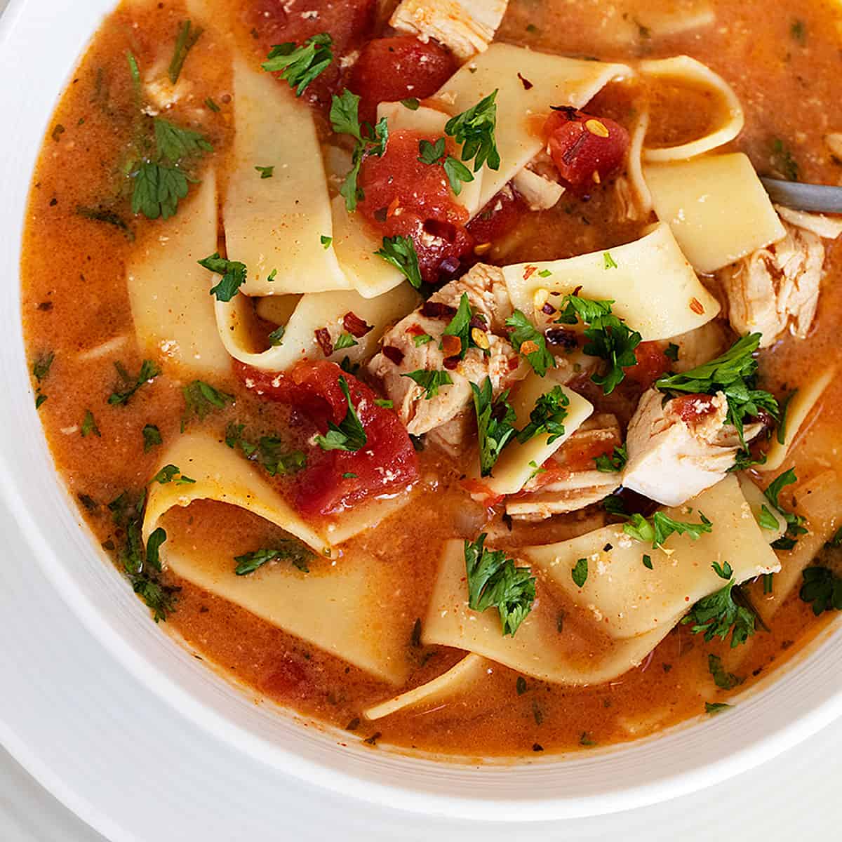 Chicken Paprikash Soup Seasons and Suppers