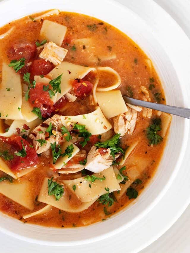 Chicken Paprikash Soup Seasons and Suppers