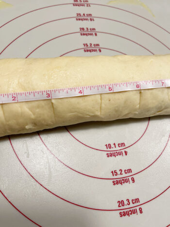 measuring and marking the dough