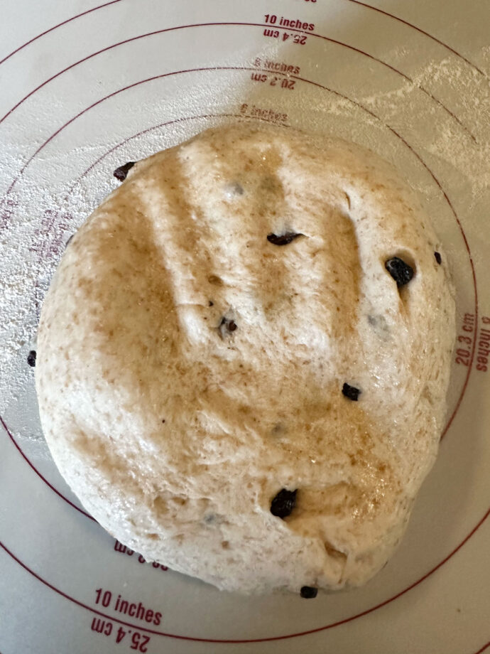 Blueberry Breakfast Rounds Seasons and Suppers