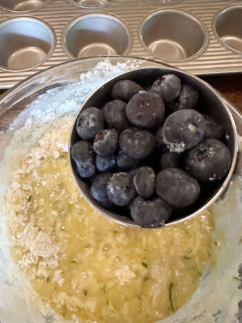 adding the blueberries
