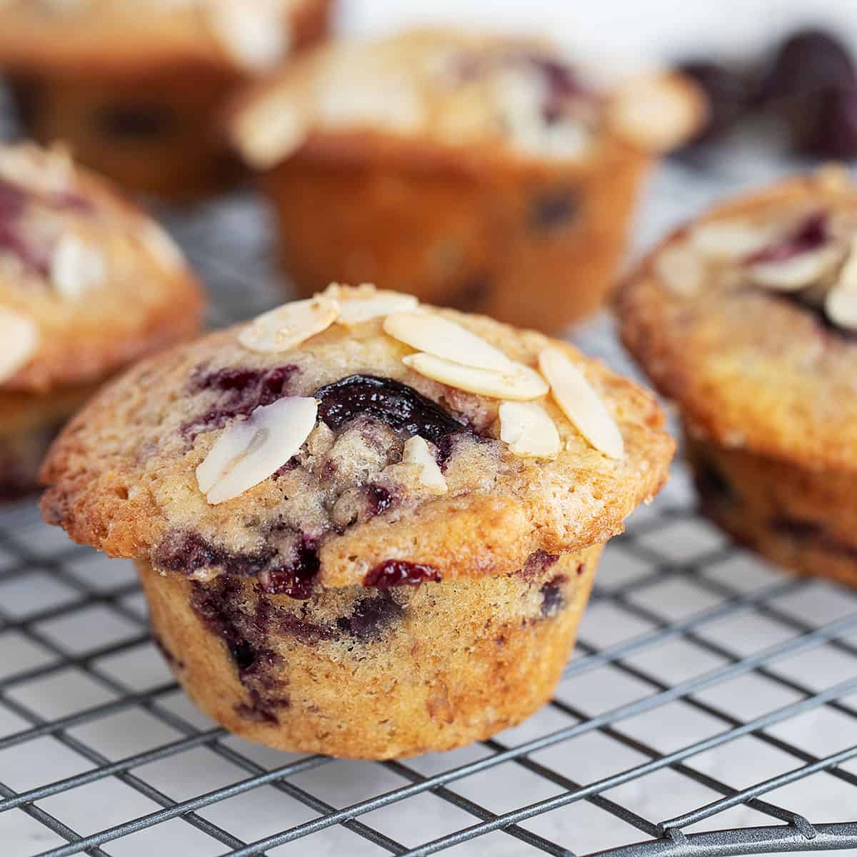 Cherry Muffins