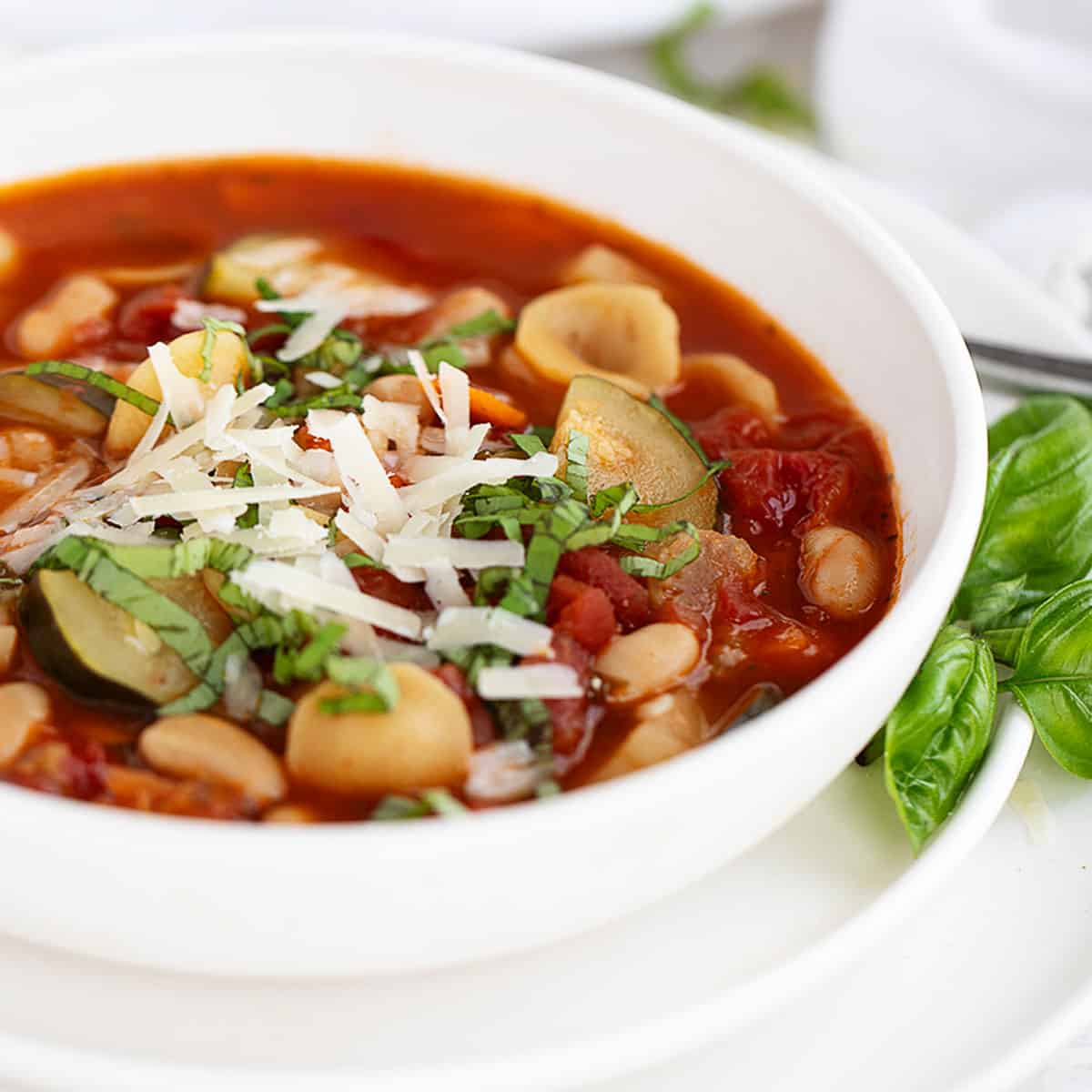 Simple Summer Minestrone