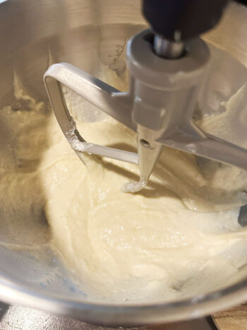 mixing together the dough with the paddle attachment