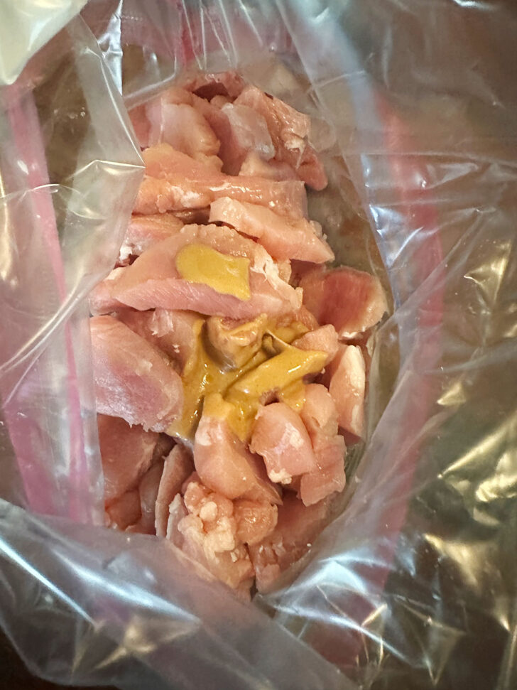 pork and marinade in plastic bag