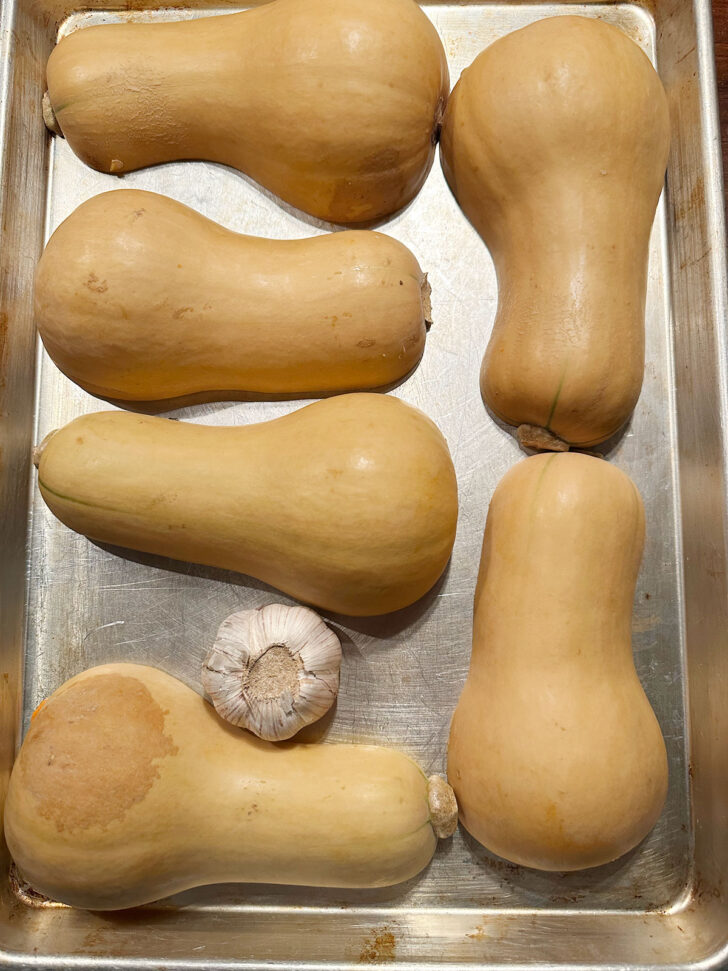 butternut squash and head of garlic on baking sheet before roasting