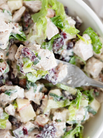 turkey salad with cranberries in bowl with fork