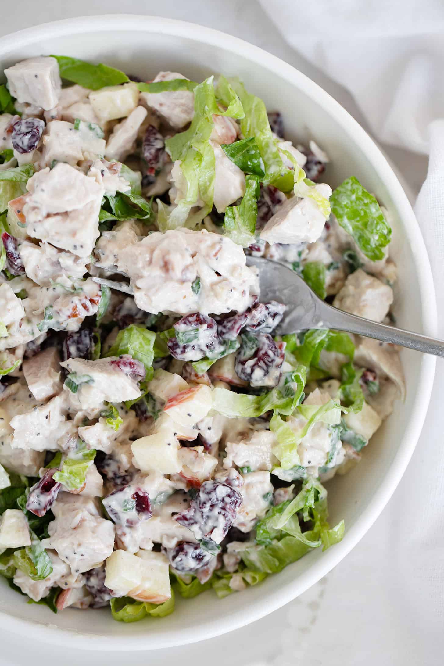 turkey salad with cranberries in bowl with fork