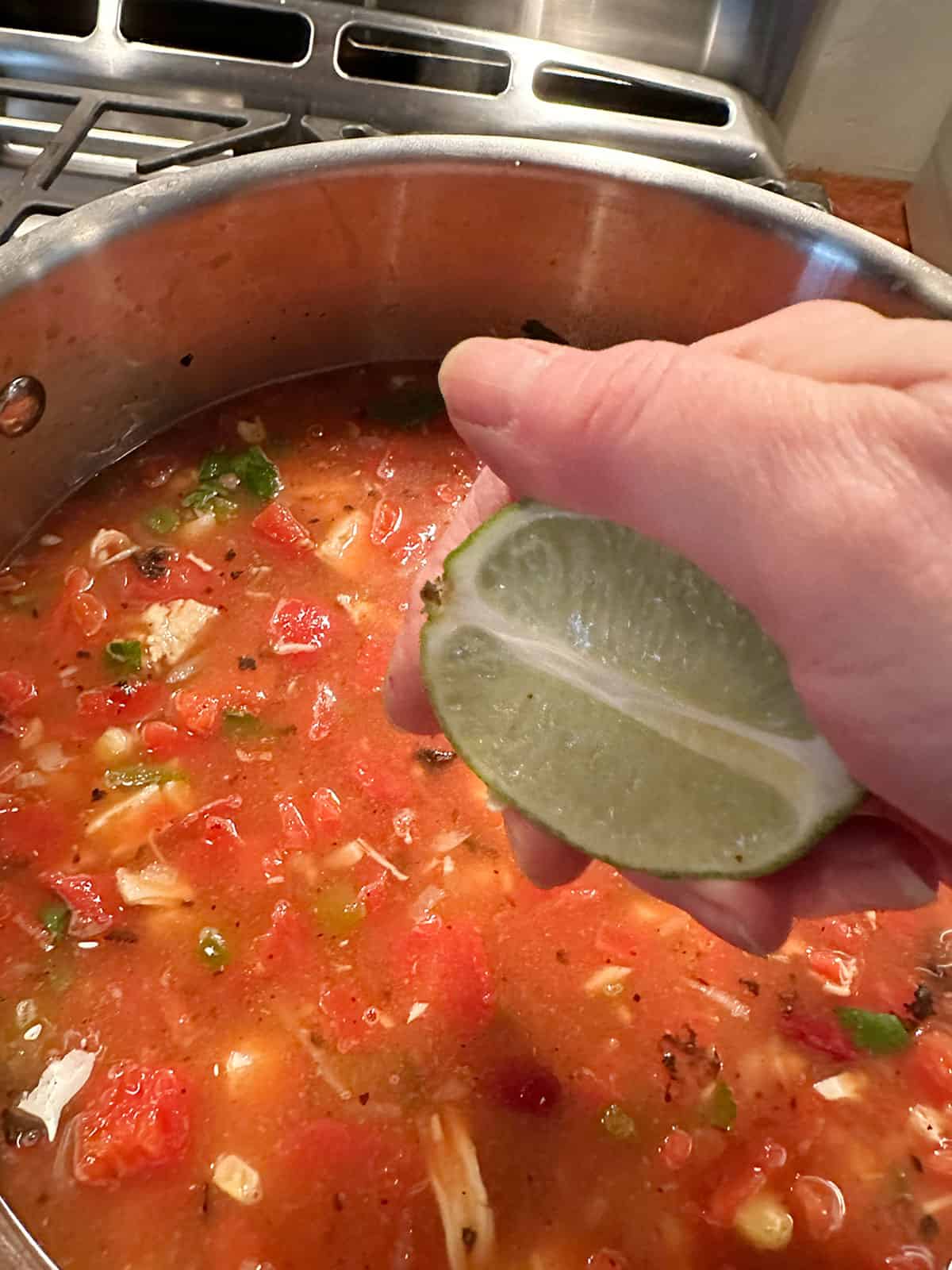 Mexican Chicken Soup - Seasons and Suppers